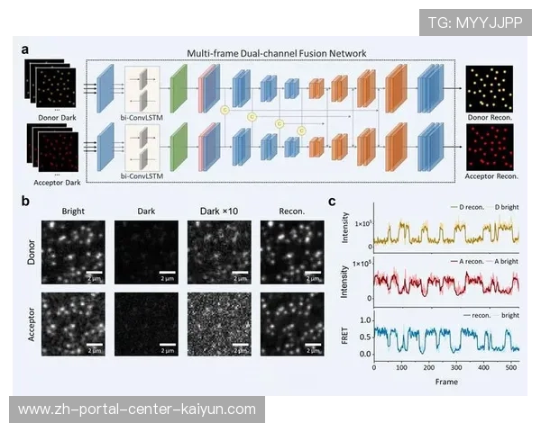 深度学习驱动的降噪与补帧技术 在当前阶段显著提升了老旧画质
